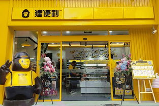 南京樂鷹商用廚房設備公司助力學校食堂建設，提升現代化炊具應用