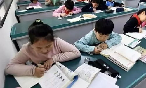 中小學(xué)課后服務(wù)全面鋪開(kāi)，教育咨詢助力家長(zhǎng)滿意度提升